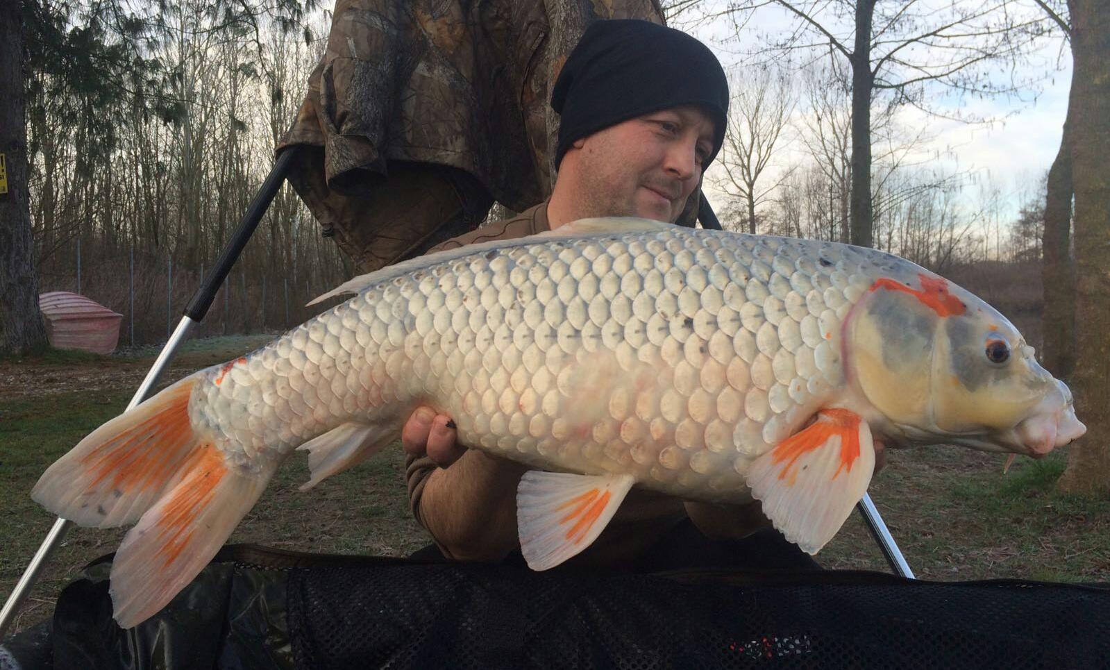 Lago Boschetto 7 - 10 martie 2016 - img-20160308-wa0003-1.jpg